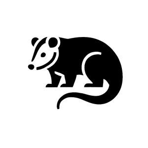 Opossum