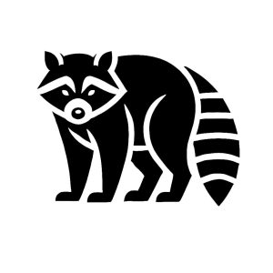 Raccoon